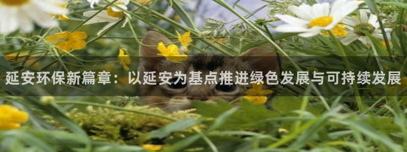 彩名堂移动客户端：延安环保新篇章：以