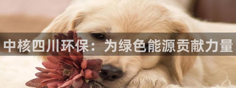 彩名堂的拼音：中核四川环保：为绿色能源贡献力量