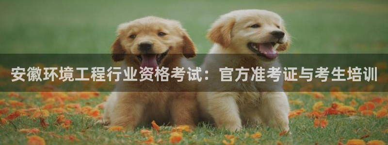 彩名堂.netnet：安徽环境工程行业资格考试：官方准考证与