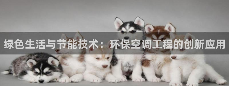 彩名堂计划怎么跟不挂：绿色生活与节能
