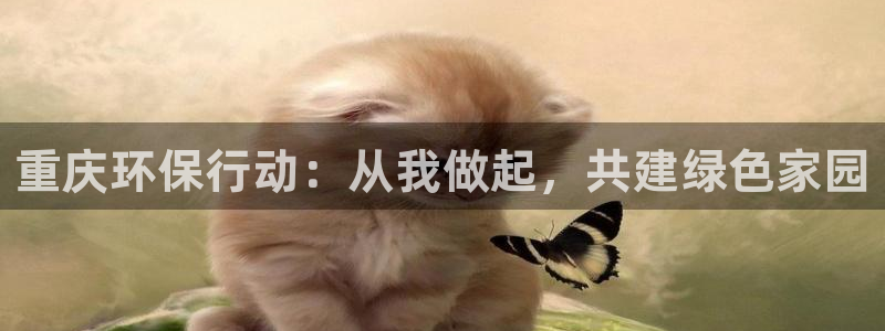 彩名堂预测免费计划app-彩名堂预测