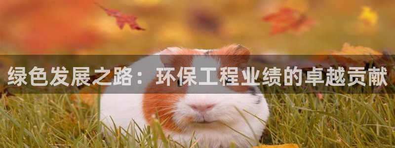 彩名堂加拿大怎么买准确率高