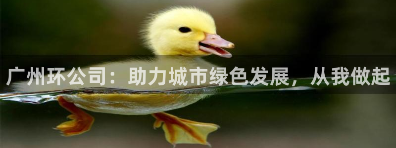 彩名堂在线下载