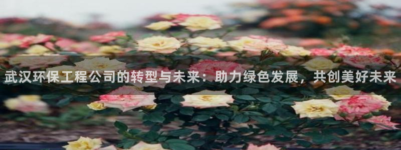 彩名堂计划怎么跟不挂：武汉环保工程公