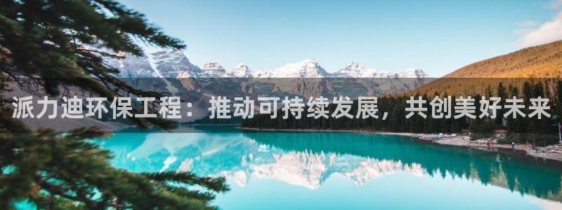 老版本彩名堂计划软件：派力迪环保工程
