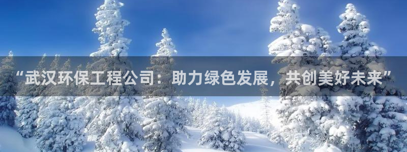 正规彩名堂官网计划：“武汉环保工程公