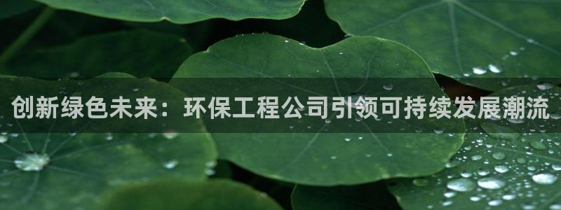 彩名堂移动客户端是什么：创新绿色未来：环保工程公司引领可持续