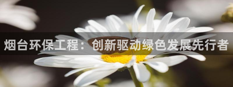 彩名堂改名稻草人了吗：烟台环保工程：创新驱动绿色发展先行者