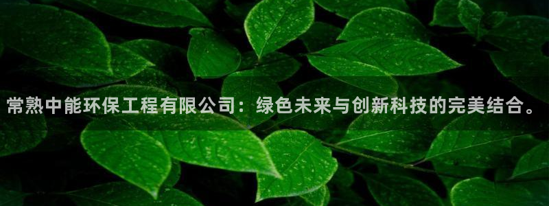 彩名堂5.0!：常熟中能环保工程有限