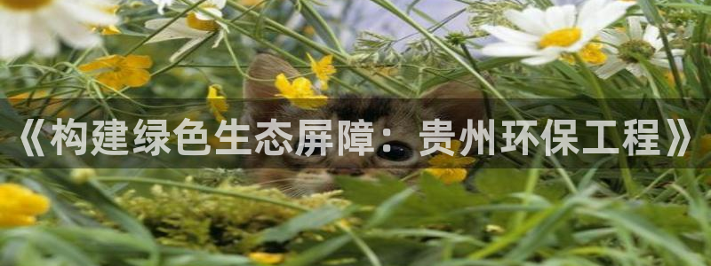 彩名堂官网在线计划：《构建绿色生态屏障：贵州环保工程》