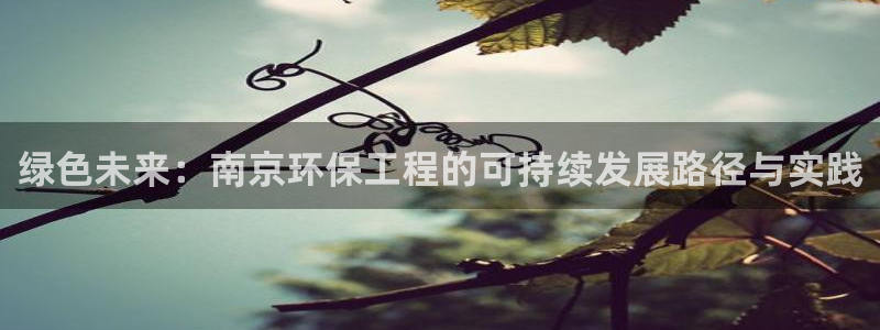 彩名堂计划官方客服：绿色未来：南京环保工程的可持续发展路径与