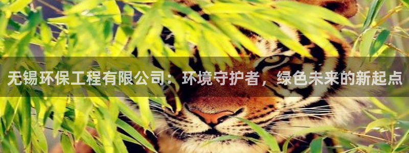 彩名堂计划官方客服：无锡环保工程有限公司：环境守护者，绿色未