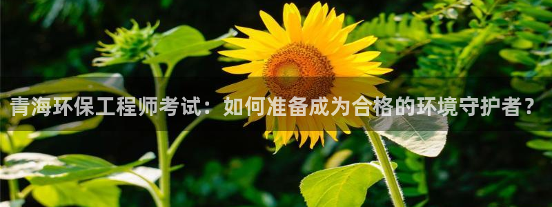 彩名堂.netnet：青海环保工程师考试：如何准备成为合格的